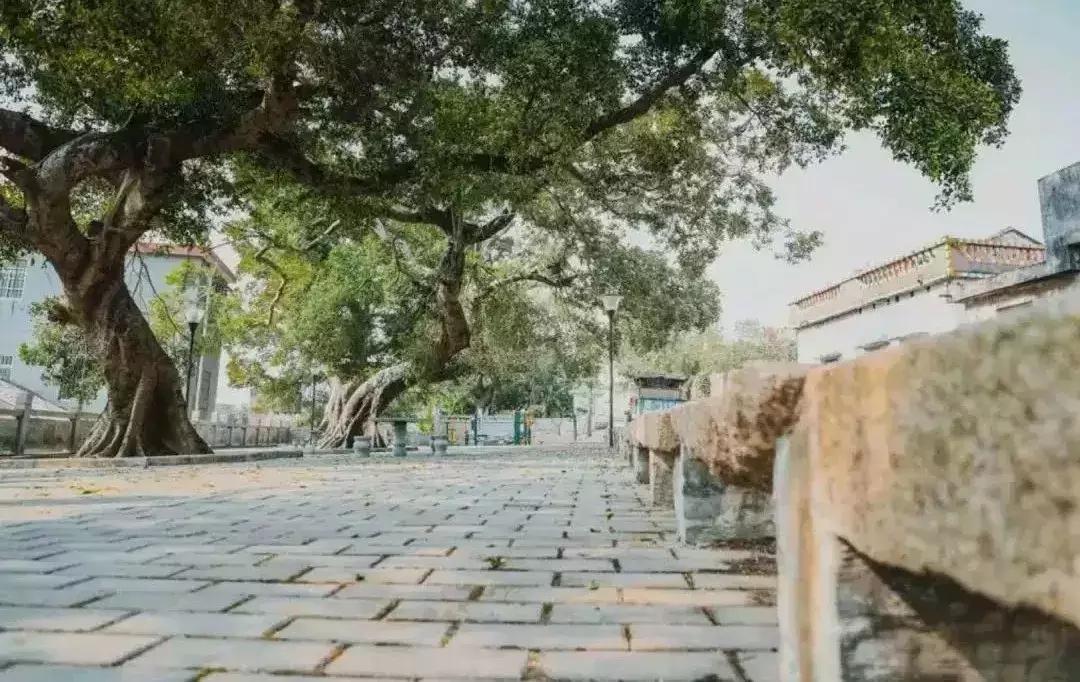 广东珠海春节最值得去的10个地方,珠海过年去哪玩汇总