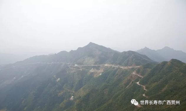 情系乡村教育助力脱贫攻坚,情系老区精准帮扶