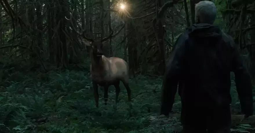 春节必备的10部电视剧,春节假期值得追看的十部电视剧