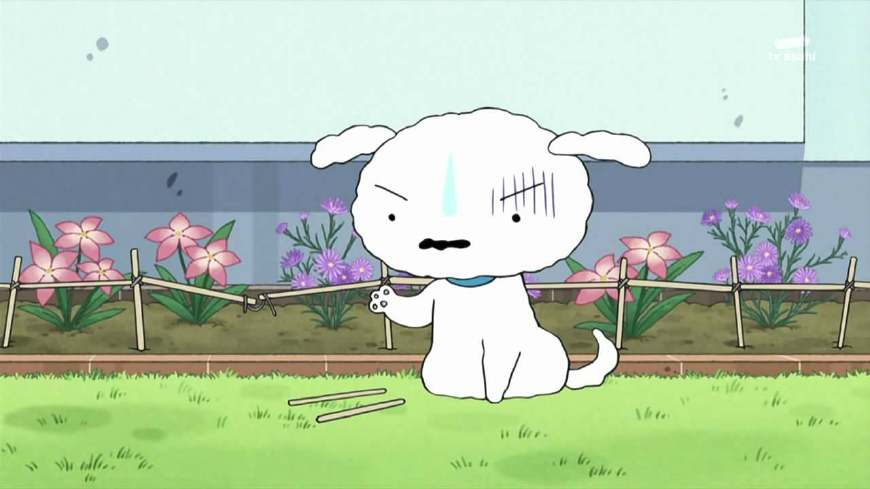 盘点动漫中所有宠物狗的原型,盘点动漫里的十只可爱的小狗