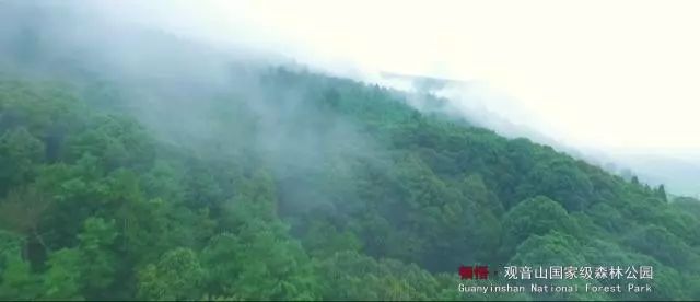 泸西游玩推荐,泸西旅游攻略必去景点推荐