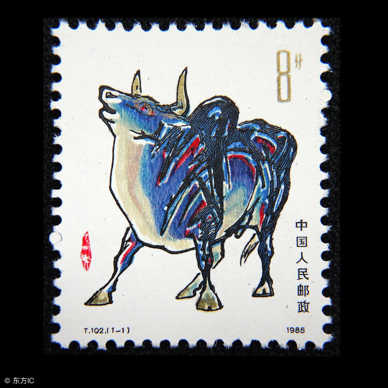 十二生肖有哪些大开眼界的经历,十二生肖中实话实说的生肖