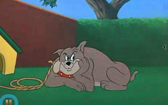 盘点动漫中所有宠物狗的原型,盘点动漫里的十只可爱的小狗