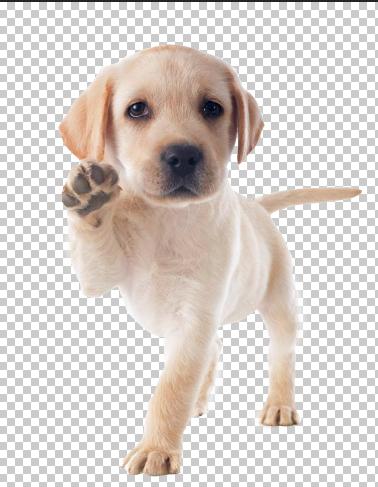 ps2018基础全部教程新手入门,ps2018基础教程新手入门