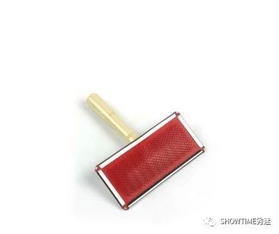 新手铲屎官养宠物该怎么办,怎么成为合格的养狗铲屎官