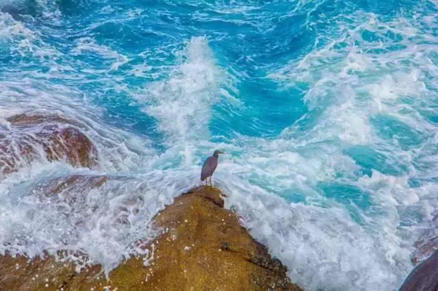 春晚四大分会场曝光，有个竟是“中国第一潜水地”！