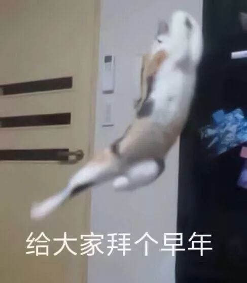 不落俗套的祝福语大全,新年祝福语怎么发