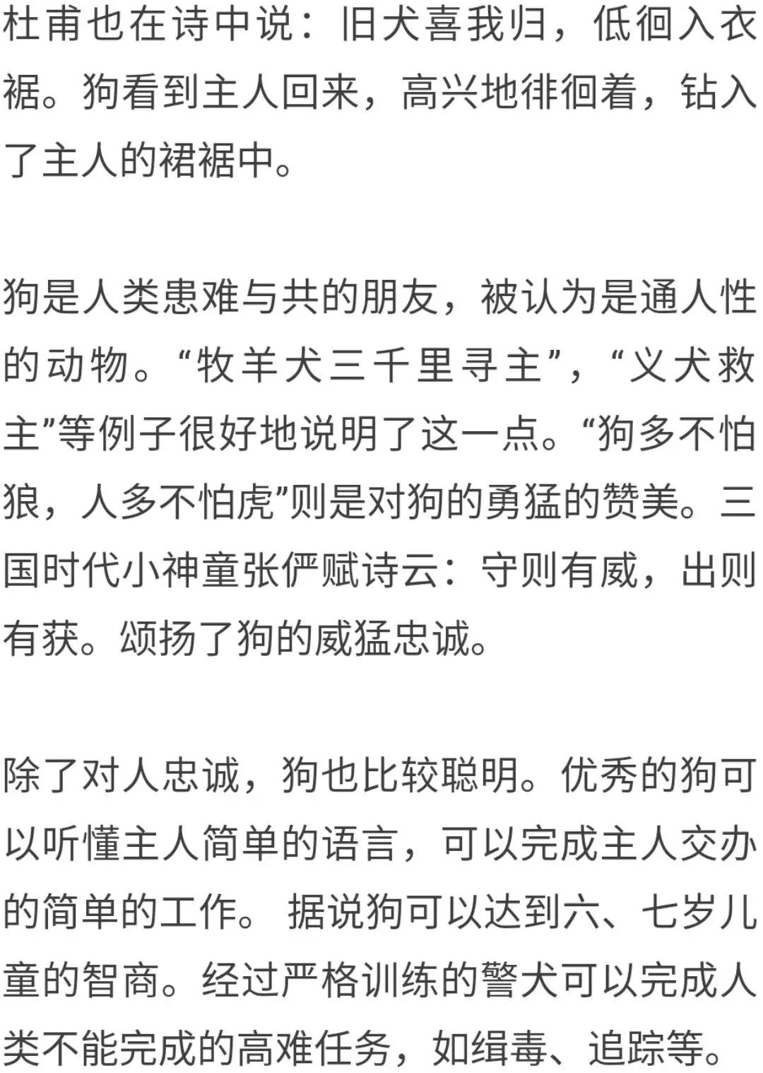 狗有八德,狗有黄金精神