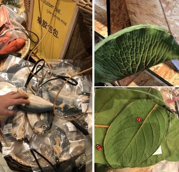 扯白,和爸妈一起去旅行需要买的东西