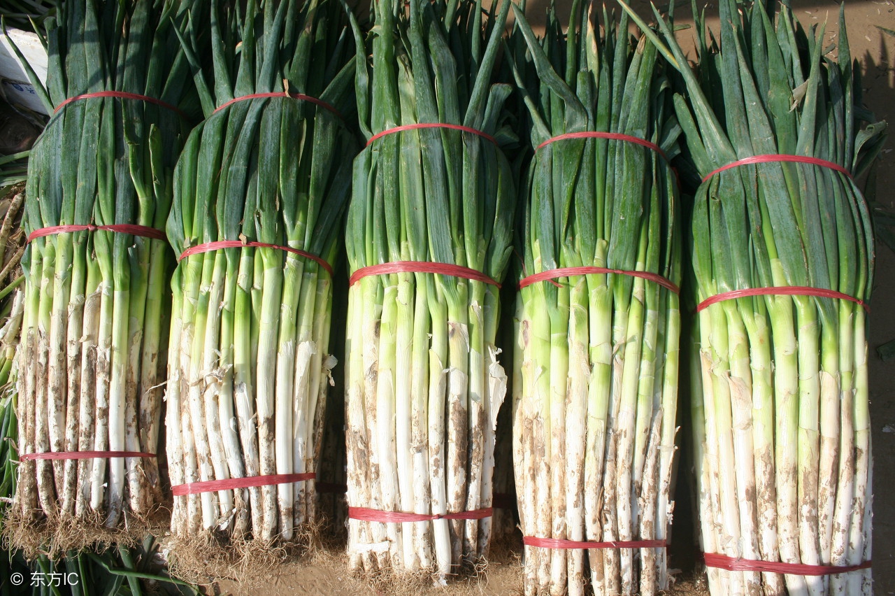 各地区小吃及特产汇总