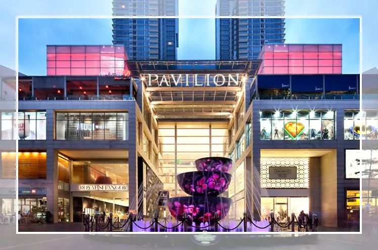 扯白,和爸妈一起去旅行需要买的东西