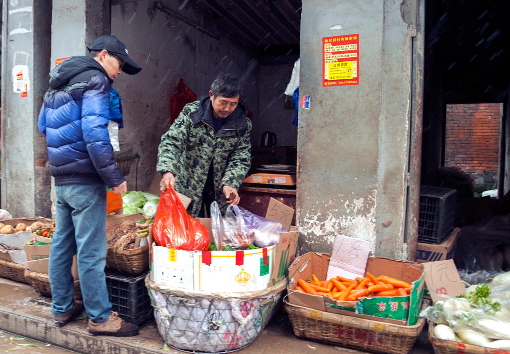 随风飞舞——雪花下武昌街头影像