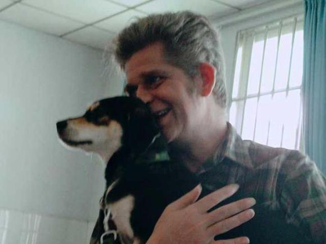 正宗中华田园犬还能买的到吗,中华田园犬现在能买吗