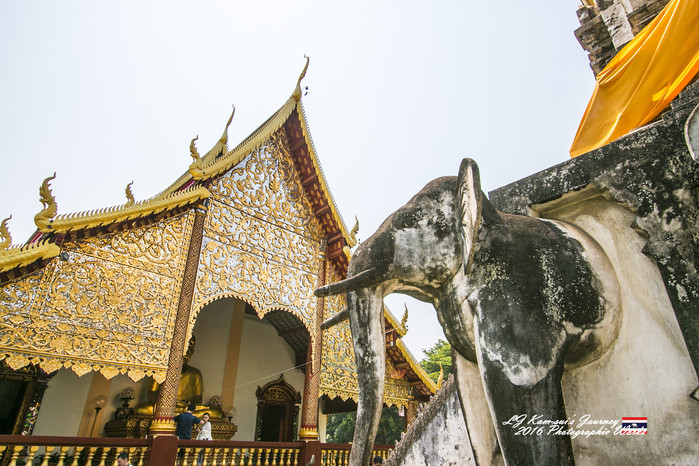 泰国清迈县旅行者,清迈佛寺之城等你采撷的泰北玫瑰