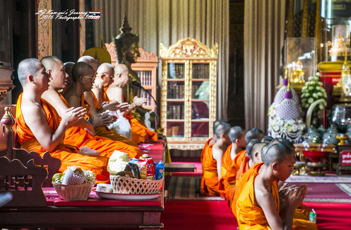 泰国清迈县旅行者,清迈佛寺之城等你采撷的泰北玫瑰