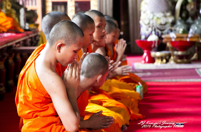 泰国清迈县旅行者,清迈佛寺之城等你采撷的泰北玫瑰