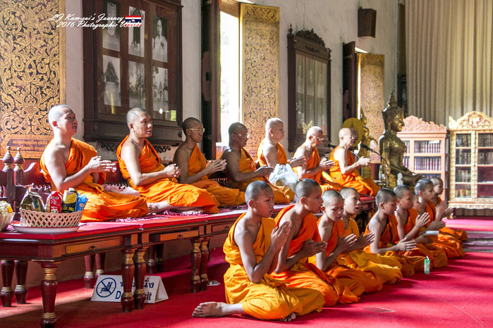 泰国清迈县旅行者,清迈佛寺之城等你采撷的泰北玫瑰