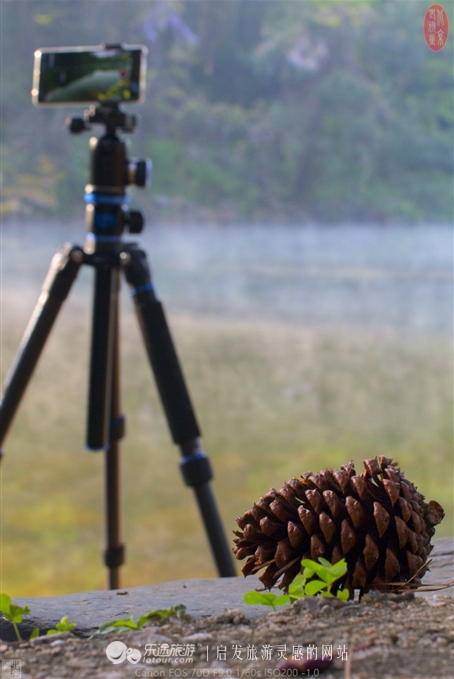 游览安吉中南百草园,中南百草原几个小时游玩