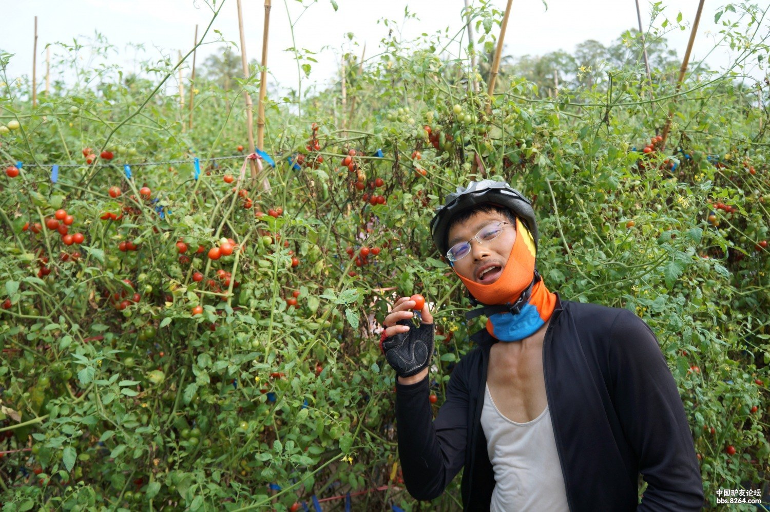 8264游记精选：80后女孩骑行边境线6000公里到*藏西**，徒步搭车10000多公里到尼泊尔，阿里，*疆新**之旅