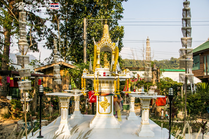 泰国清迈县旅行者,清迈佛寺之城等你采撷的泰北玫瑰