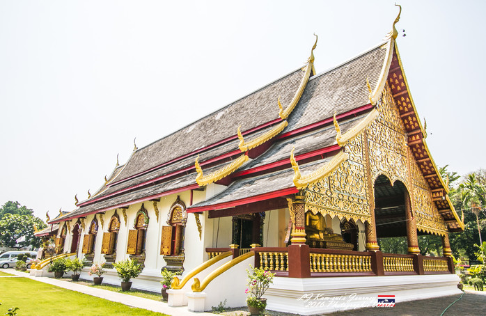 泰国清迈县旅行者,清迈佛寺之城等你采撷的泰北玫瑰