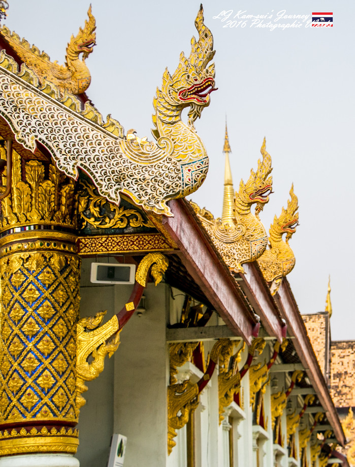 泰国清迈县旅行者,清迈佛寺之城等你采撷的泰北玫瑰