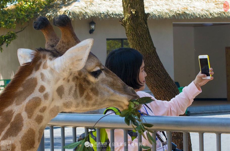 游览安吉中南百草园,中南百草原几个小时游玩
