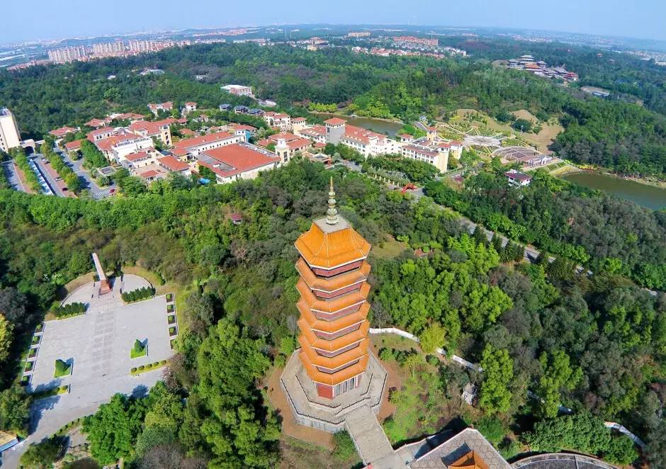 我叫佛山，我家“五美”私房照首次曝光，看看你最中意哪一款？