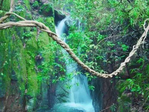 我叫佛山，我家“五美”私房照首次曝光，看看你最中意哪一款？