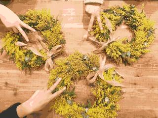 土著带你玩大连开发区,土著带你玩上海