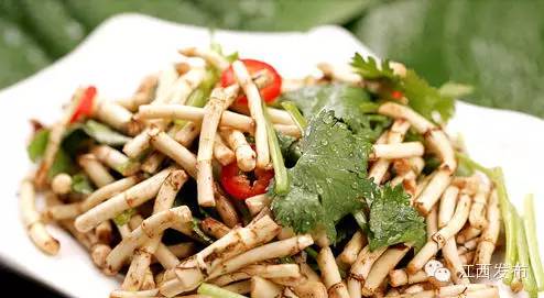 冰河开化狗熊撒欢,冰河解冻万物复苏狗熊撒欢原声