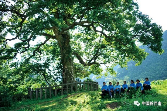 魅力打凼，一个中国少数民族特点村寨的“三绝”“三谜”~