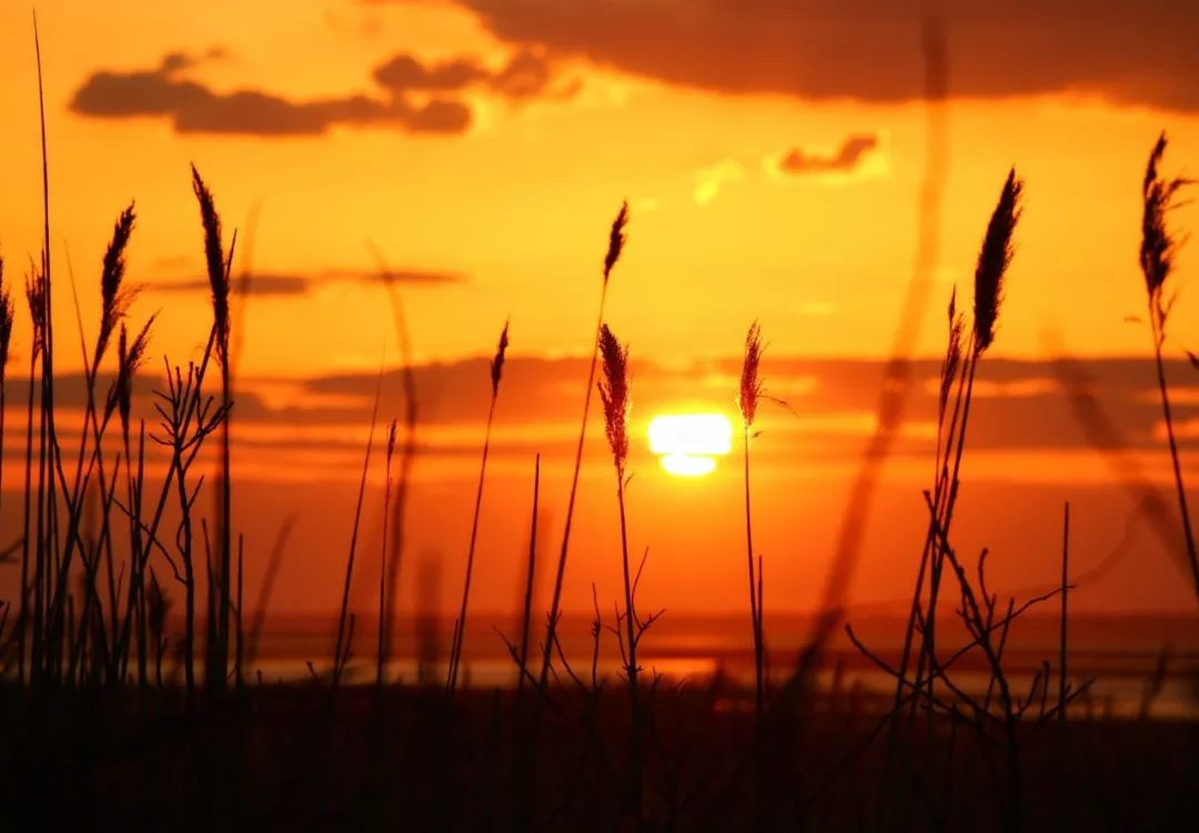 土著带你玩大连开发区,土著带你玩上海