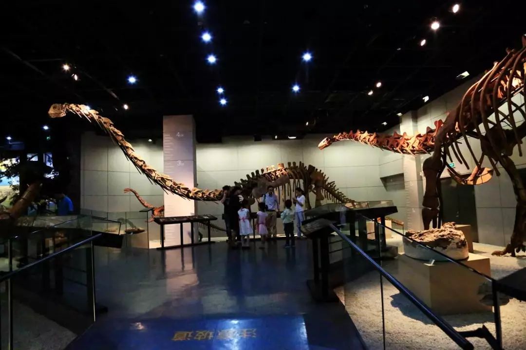 富阳可以带孩子游玩的地方,富阳适合带孩子玩的地方夏季