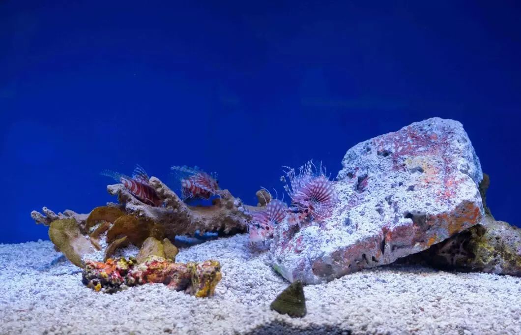 富阳可以带孩子游玩的地方,富阳适合带孩子玩的地方夏季