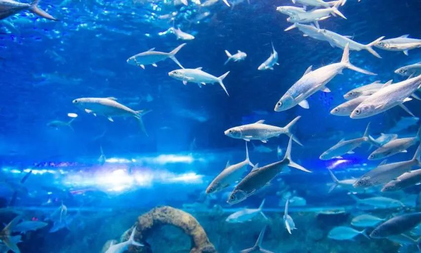 富阳可以带孩子游玩的地方,富阳适合带孩子玩的地方夏季