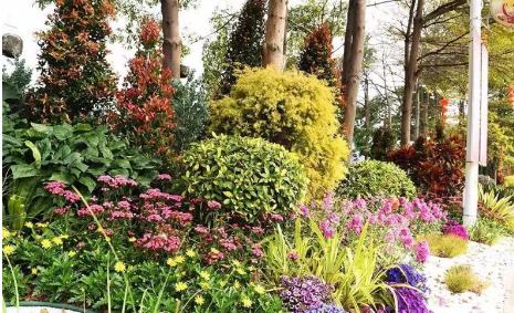 广州花街海心沙,广州海心沙时尚花市