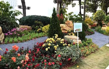 广州花街海心沙,广州海心沙时尚花市