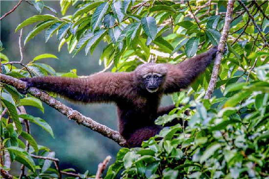李纪恒：把大盈江和瑞丽江打导致国内外知名旅游目的地