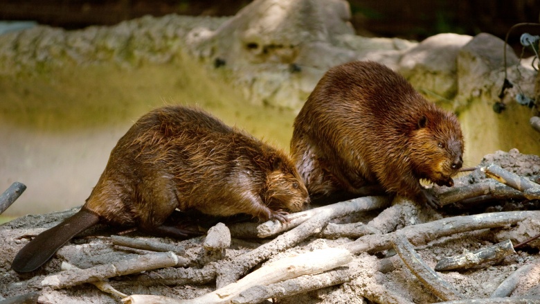 全是添加剂你还敢吃吗,十种添加剂最好不要吃