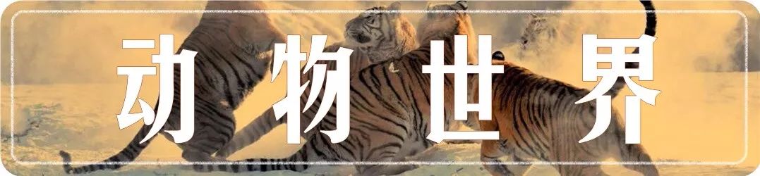 富阳可以带孩子游玩的地方,富阳适合带孩子玩的地方夏季