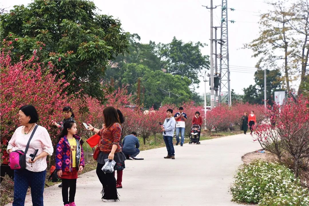 还未脱单？元宵前去东湾村吧，邂逅浪漫！