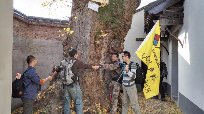 东山哪里的银杏最好看,阳山东山银杏打卡点