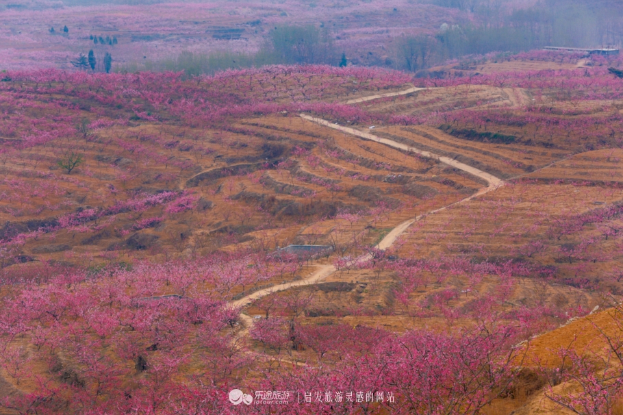 这趟车，你想开往哪里？