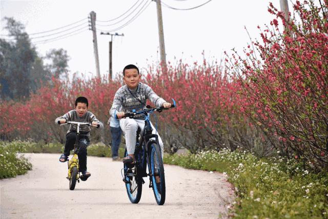 还未脱单？元宵前去东湾村吧，邂逅浪漫！