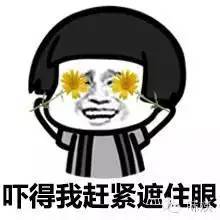 正宗川贝枇杷膏多少钱一盒,美国热销枇杷膏