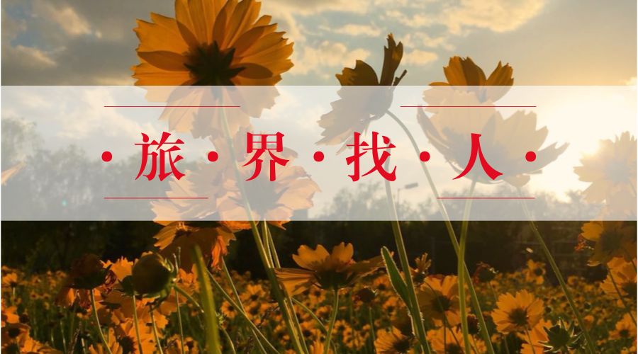 李少华发言,飞猪旅行总裁李少华