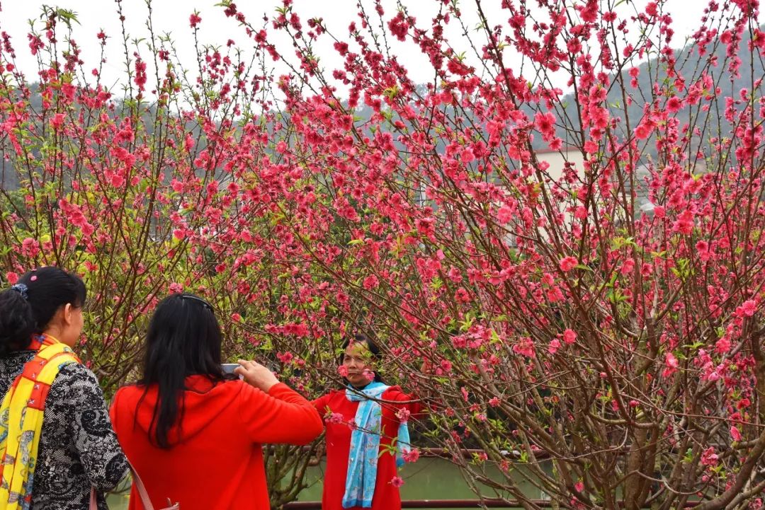还未脱单？元宵前去东湾村吧，邂逅浪漫！