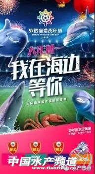 大马鲛鱼成为湛江市徐闻县贺年足球赛冠军奖品