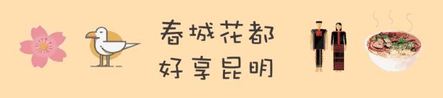 「春城秀」热烈温暖，绽放郁金之美